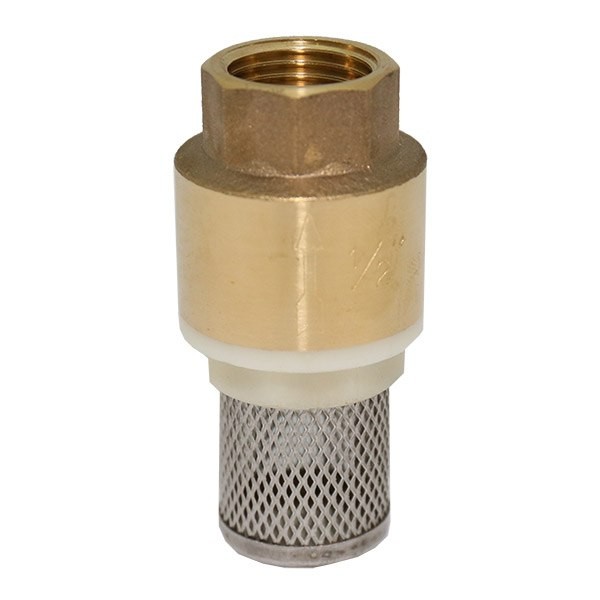 Обратный клапан с сеткой ITALY,  1" (12bar)
